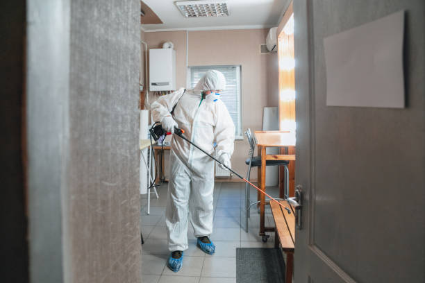Best Dehumidification Services  in Gladwin, MI