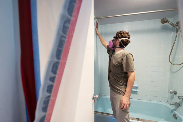 Best Forensic Mold Investigation  in Gladwin, MI