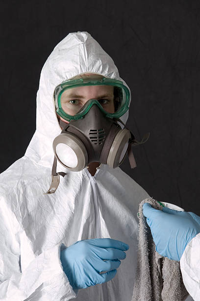 Reliable Gladwin, MI Mold Removal Solutions